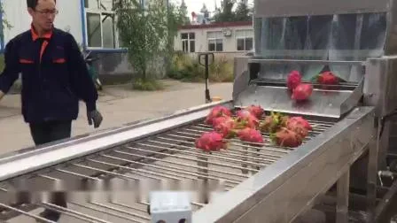 Machine à laver les bulles de fruits et légumes/équipement de traitement/machine de rinçage